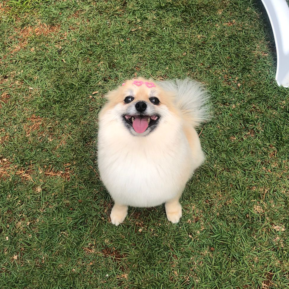 retrato da Nala